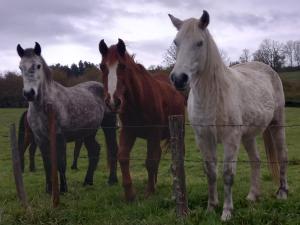 Sejours chez l'habitant La Maison de Soso : photos des chambres