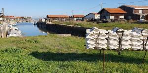 Appartements Colibri Appart' T2 au coeur du Bassin d'Arcachon : photos des chambres