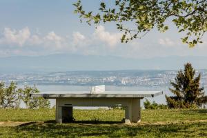 Appart'hotels Garden & City Evian - Lugrin : photos des chambres