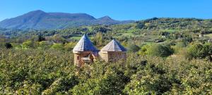 Maisons d'hotes Roulottes au pied du Vercors : photos des chambres