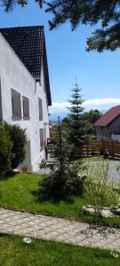 Apartamenty Pod Uwalonym Dębem