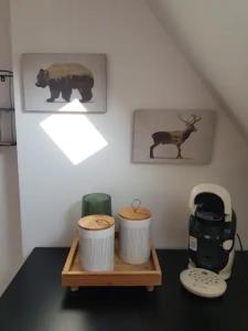 Schöne Wohnungen in Schwandorf