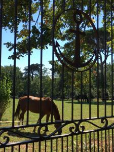 Maisons d'hotes CHATEAU DU GO : photos des chambres