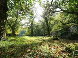 Holiday Home Turi by Interhome