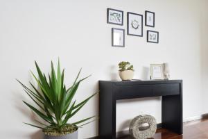 Design Gardens, a Home in Madeira