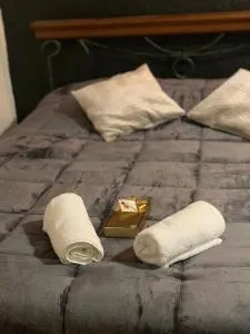 Très belle suite dans le centre historique idéale pour 2 personnes - 皮奥伦克