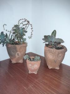 Apartamento en Colonia