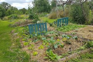 Maisons de vacances Teasel Cottage-rural hideaway-Gite : photos des chambres