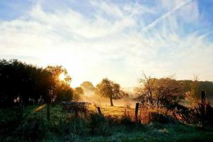 Maisons de vacances Teasel Cottage-rural hideaway-Gite : photos des chambres