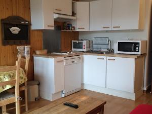 Appartement lumineux au cœur de Villard-de-Lans, 46m², 5 personnes - FR-1-515-89