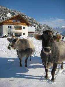 Ferienwohnung Gundolf Christine