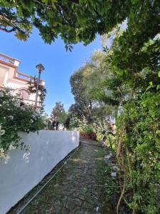 Green Diamond Homestay