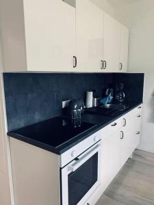 modernes 1-Raum Apartment für Monteure (WORK 1)