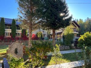 The View Sinaia-Busteni