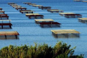 Appartements SEASIDEMEZE vue magnifique sur l'etang de Thau : photos des chambres