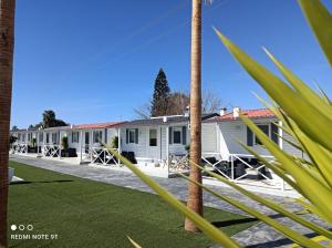 Bungalows Buda Beach