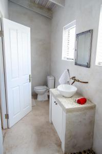 Red Bishop - Birds, Beach & Beauty