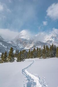 Teton Cabins