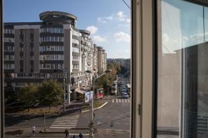 Lions Unirii Apartment