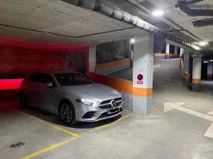 Elloft Sierra Nevada