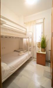 Bonito y acogedor apartamento pleno centro junto Catedral