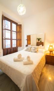 Bonito y acogedor apartamento pleno centro junto Catedral