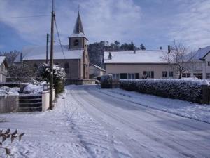 Gîte cozy au cœur des Vosges : terrasse, jardin, proche Gérardmer, animaux bienvenus - FR-1-589-76