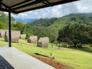 Esquipulas Rainforest