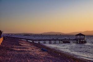 Casa de playa: Disfruta de grandes momentos y del sol todo el año en Paracas