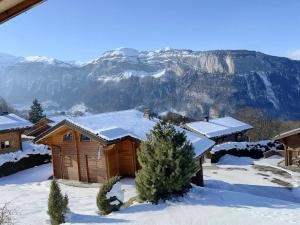 Chalets Chalet Les Carroz d'Araches, 5 pieces, 8 personnes - FR-1-572-32 : photos des chambres