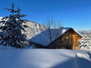 Chalets Chalet Les Carroz d'Araches, 5 pieces, 8 personnes - FR-1-572-32 : photos des chambres