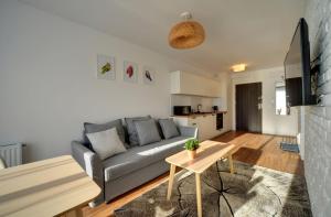 Apart Invest Szklarska 800 A2