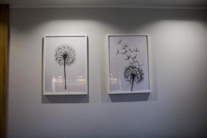 Krasińskiego 15A -6