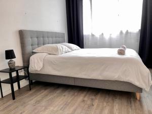 Appartements Studio Grenoble Gare GEM PLACE PARKING GRATUIT : photos des chambres