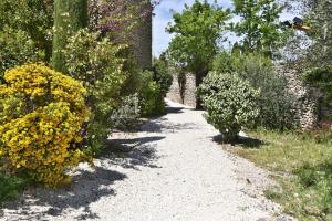 Maisons de vacances Le Bastidon de Guillemette : photos des chambres