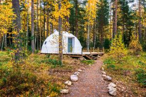 Igloo Glamping LakeLand Camp