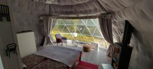 Igloo Glamping LakeLand Camp