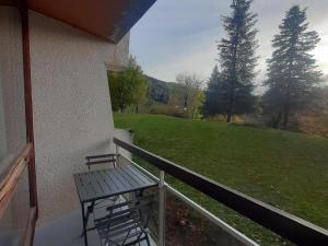 Appartement rénové 20m² au pied des pistes avec balcon et parking gratuit - FR-1-515-110