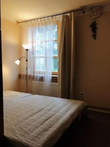 Koka mājiņa ar dārzu blakus Lielupei