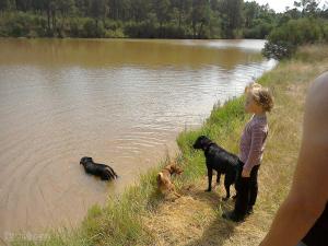 Chalets Cuckoo Lake Forest Cabin : photos des chambres