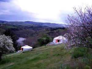 Appartements Sejour en yourte mongole dans la Loire : photos des chambres