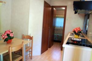 Camping Village Free Time