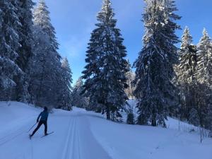 Appartements Studio avec belle vue proche du lac Genin Echallon : photos des chambres