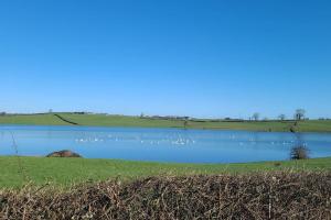 Murrays Lodge: Self-Catering Accommodation.