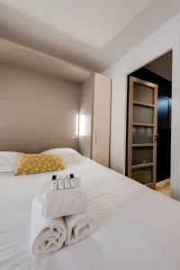 Studio Suite Annecy - Vue sur le château climatisation