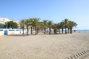 Apartamento en Santa Pola, Playa de Levante SP102