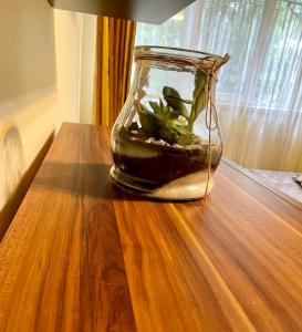 Cozy and Clean Apartment, near National Arena