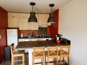 Appartement rénové 2 ch au calme, à côté du Luge Park - FR-1-689-110 - Prénatier