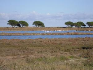 B&B La Collina img23