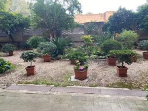 La Rosa di Roma 3 in heart of Rome in San Giovanni